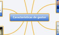 Caracteristicas de gestor
