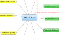 Methodik