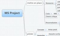 MS Project