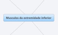 Musculos da extremidade inferior