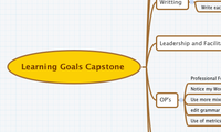 Learning Goals Capstone