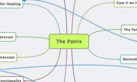 The Patrix