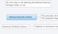 National Security Culture