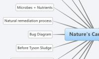 Nature's Carbon Cycle
