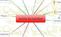Juicio de nulidad