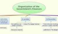 Organization of the Government's Finances