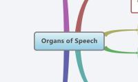 Organs of Speech