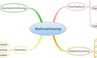 Wahrnehmung