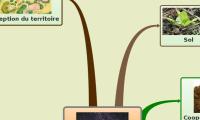 Permaculture