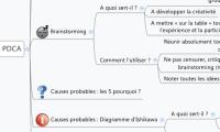 Plan/Do/Check/Action