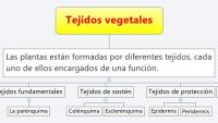 Tejidos vegetales