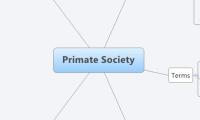 Primate Society