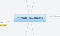 Primate Taxonomy