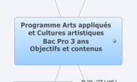Programme Arts appliqués 
et Cultures artistiques 
Bac Pro 3 ans
Objectifs et contenus
