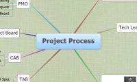 Project Process