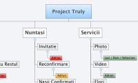 Project Truly