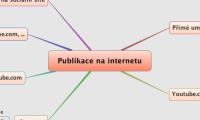 Publikace na internetu