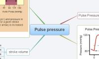 Pulse pressure