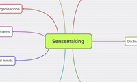 Sensemaking