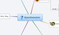 Questionnaire