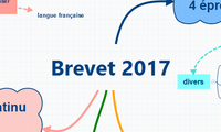 Brevet 2017