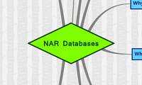 NAR Databases