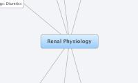 Renal Physiology