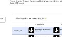Síndromes Respiratorios
