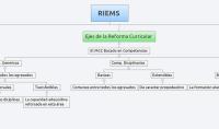 RIEMS 