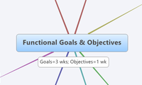 Functional Goals & Objectives