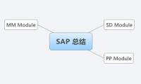 SAP 总结