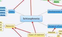 Schizophrenia