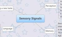 Sensory Signals 