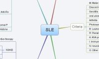 SLE