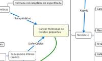 Cáncer Pulmonar de
Células pequeñas