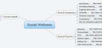 Social Wellness