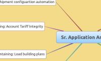 Sr. Application Analyst
