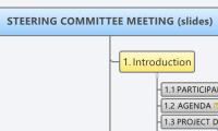 STEERING COMMITTEE MEETING (slides)