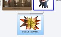 SUCCESSORIES