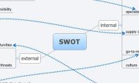 SWOT