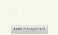 Team management