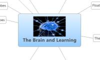 The Brain and Learning