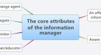 The core attributes
of the information
manager