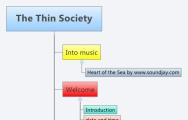 The Thin Society