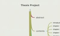 Thesis Project