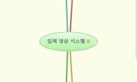 입체 영상 시스템