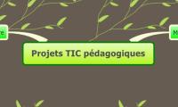 Projets TIC pédagogiques