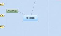 TEJIDOS
