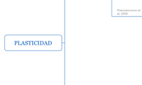 PLASTICIDAD