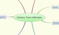 Urinary Tract Infection